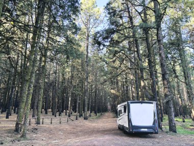 Arka planda yüksek manzaralı ağaçlar olan doğa parkındaki modern karavan karavanı. Seyahat ve alternatif vanlife ev tatili kavramı. Özgürlük hayatı ve tatil