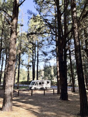 Arka planda yüksek manzaralı ağaçlar olan doğa parkındaki modern karavan karavanı. Seyahat ve alternatif vanlife ev tatili kavramı. Özgürlük hayatı ve tatil