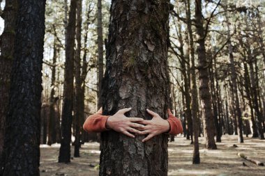 Doğa aşığı ormanda ağaç gövdesine sarılıyor. Yeşil doğal arka plan. İnsanların kavramı doğayı sever ve ormansızlaşmadan, kirlilikten veya iklim değişikliğinden korur.