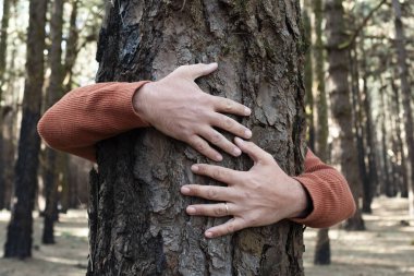 Doğa aşığı ormanda ağaç gövdesine sarılıyor. Yeşil doğal arka plan. İnsanların kavramı doğayı sever ve ormansızlaşmadan, kirlilikten veya iklim değişikliğinden korur.