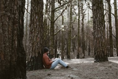  Orman odunlarında dizüstü bilgisayar kullanan bir adam teknolojinin ve boş zamanların tadını çıkarıyor. Modern insan arka planda ağaçlarla hücresel olarak konuşuyor. Seyahatte insanlar ve iletişim