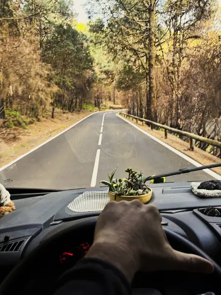 One Man Pov His Hands Driving Vehicle Long Scenic Trees — Stock Photo, Image