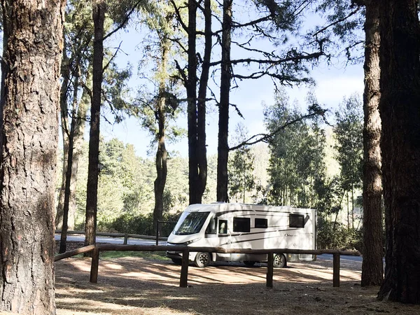 Arka planda yüksek manzaralı ağaçlar olan doğa parkındaki modern karavan karavanı. Seyahat ve alternatif vanlife ev tatili kavramı. Özgürlük hayatı ve tatil