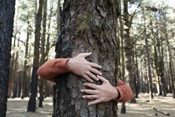 Nature lover hugging trunk tree in forest. Green natural background. Concept of people love nature and protect from deforestation or pollution or climate change