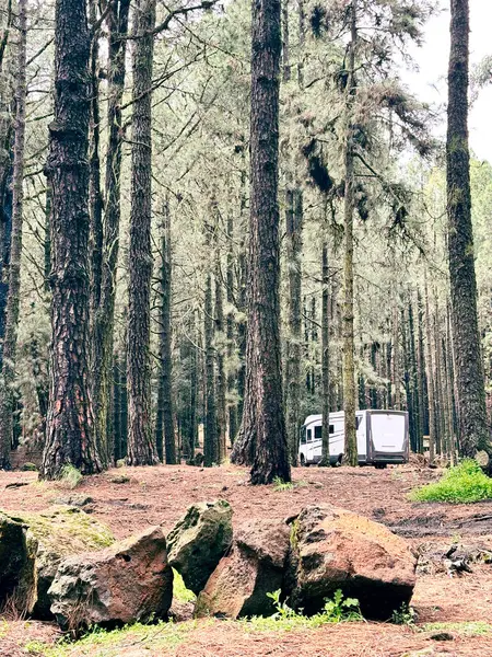 Camping Car Camping Car Van Parking Dans Forêt Jouissant Liberté — Photo