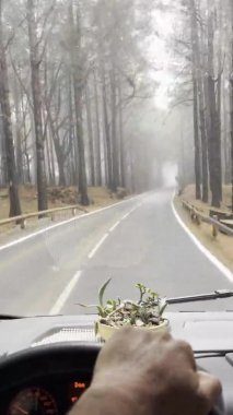 Seyahat yaşam tarzı konsepti. Adam direksiyonda direksiyon başında ağaçlar ve asfalt ile doğa manzaralı bir yolda sürüyor. Vanlife sürücüsü hedefine git. Kamyon. Ulusal Park Seyahati Tatil İnsanları