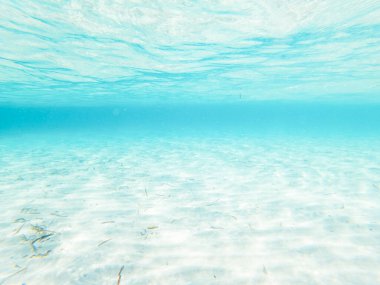 Underwater view with transparent sea ocean water and white sand. Caribbean maldive concept summer holiday vacation clipart