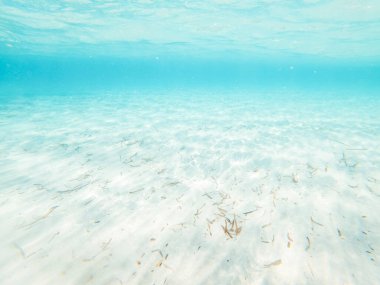 Şeffaf deniz suyu ve beyaz kumla sualtı manzarası. Yaz tatili için Karayip maldiv konsepti