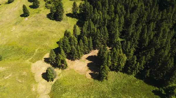 Vista Aérea Drone Prados Verdes Florestas Pinheiros Árvores Montanha Livre Fotografias De Stock Royalty-Free