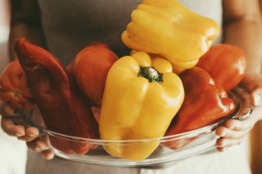 Kapalı mekanda renkli biber dolu bir tabak tutan kadın elleri için yakın çekim. Karım evde sebze hazırlayıp pişirmeye hazır. Sağlıklı gıda yaşam tarzı ve vejetaryen beslenme kavramı. Çiftlik ürünleri