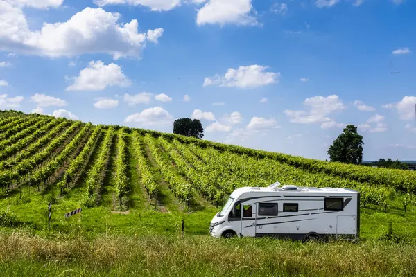 Modern karavan karavanı bir üzüm bağında park ediyor. Vanlife tarzı ve seyahat macerası. Eğlence aracıyla alternatif tatil tatili. Tekerlekli küçük bir ev. Campervan