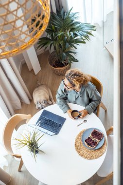 Sabah yaşam tarzında bir kadının kahvaltı ederken bilgisayarla e-posta ve bildirimleri kontrol ederek güne başladığına dair üst düzey dikey bir bakış açısı. Yerde köpek yavrusu var. Uzak işçi yaşam tarzı