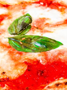 Çıtır çıtır bir hamurlu pizza, taze mozzarella, domates sosu ve mis kokulu fesleğen yaprağı içeren margherita pizzasının ayrıntılı görüntüsü, İtalyan mutfağının simgesel basitliğini ve lezzetlerini gözler önüne seriyor.