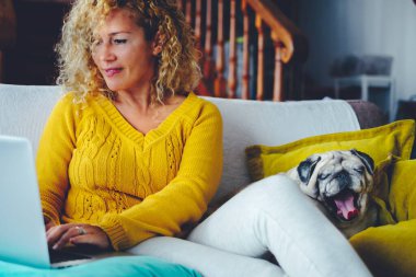 Yetişkin bir kadın, internet içeriğine göz atarken ve sosyal medyayı sakin bir yerli ortamda, kesintisiz dijital çalışma sırasında özenli pug varlığıyla güncellerken modern bir kanepede oturmuş parlak bir dizüstü bilgisayar kullanıyor.