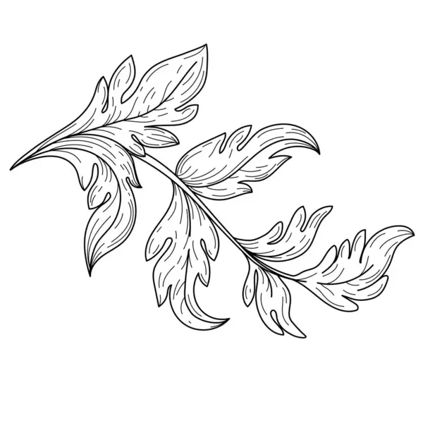 100,000 Szőlőlevél rajz Vector Images | Depositphotos