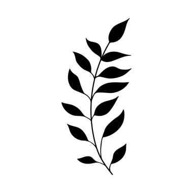 bitki karalaması, beyaz arkaplanda izole edilmiş tek bitki silueti