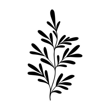 bitki karalaması, beyaz arkaplanda izole edilmiş tek bitki silueti