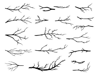 El çizimi ağaç dalları koleksiyonu, beyaz arkaplanda kuru ağaç dalları