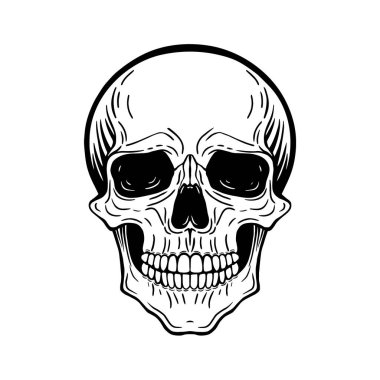 Bir kafatası, siyah beyaz çizim, Cadılar Bayramı için tasarım öğesi