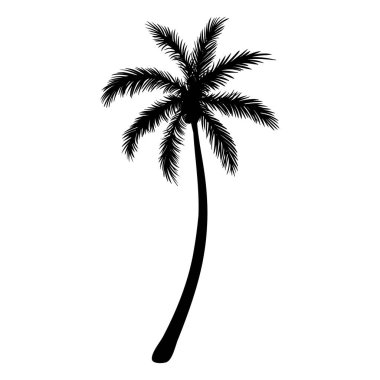 black silhouette of palm tree isolated on white background, hand drawn illustration clipart