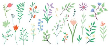 Yaban çiçekleri, yaprak dalları, beyaz arka planda yapraklar. Dekor, paskalya, etiket, klip, baskı için el çizimi illüstrasyon.