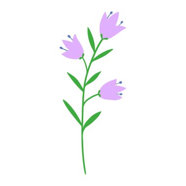 Çiçek dalı. Nazik çiçek, beyaz arka planda izole edilmiş basit, narin, küçük, narin çiçek açan Botanik düz vektör çizimi.