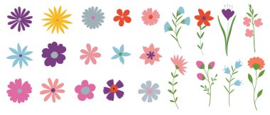 Yaban çiçekleri, yaprak dalları, beyaz arka planda yapraklar. Dekor, paskalya, şükran günü için el çizimi illüstrasyonuName.