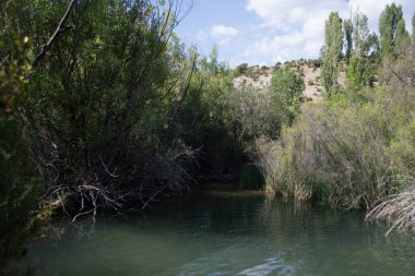 Havuz, Cuervo Nehri 'nin banyo alanı Vega del Codorno, Cuenca.