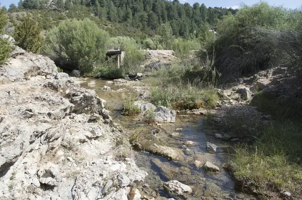 Cuervo河位于Cuenca的Vega Del Codorno的游泳池 — 图库照片