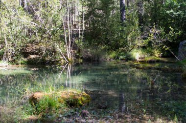 Cuenca 'daki Cuervo Nehri' nin doğuşunun Doğal Anıtı 'ndaki manzara.