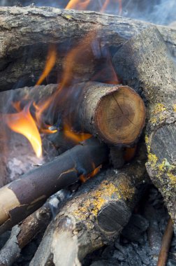 Barbeküde odun yanıyor.