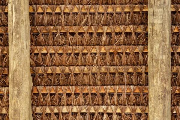 Структура Крыши Пиассавой Видимая Снизу Вверх Показывающая Деревянную Конструкцию Плетение — стоковое фото