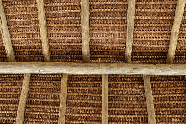 Struktur Eines Daches Mit Piassava Von Unten Nach Oben Gesehen — Stockfoto