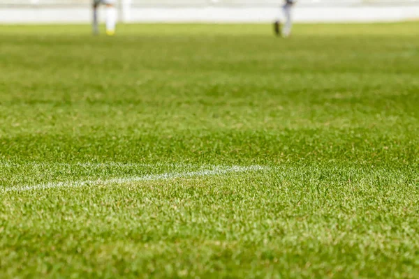 足球场上的草地 视野接近地面 球场上有白色的线条 — 图库照片