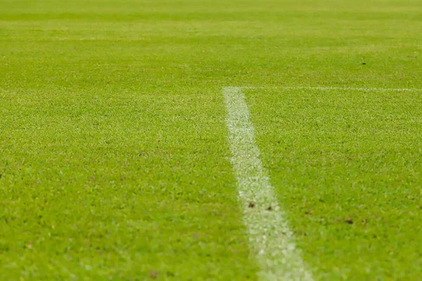 足球场上的草地 视野接近地面 球场上有白色的线条 — 图库照片