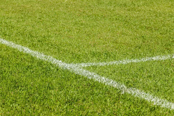 Grama Campo Futebol Com Vista Para Chão Com Linhas Brancas — Fotografia de Stock