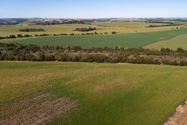 Mavi bir günde, tarlaları ve doğal yaşamı karıştıran bir dron ile çekilmiş bir görüntü.