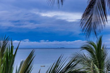 Palmiye ağaçları olan tropik bir ada