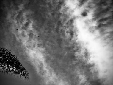 Gökyüzünün güzel manzarası