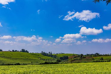 Kuzeydeki dağın güzel manzarası.