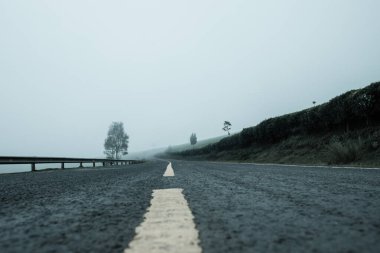 Sonbahar ormanlarında boş karanlık asfalt yolu, sis, sonbahar ağaçları ve asfalt.