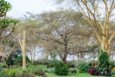 Parktaki bahçede güzel çiçeklerin dikey görüntüsü.