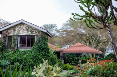 Parkın güzel manzarası