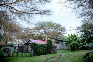 Şehirde terk edilmiş eski bir ev.