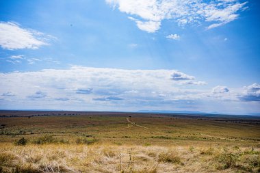 Afrika savanası görünümü