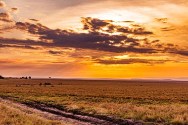 Tarlanın üzerinde güzel bir gün batımı