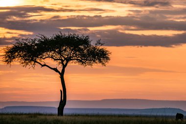 gün batımında Afrika peyzaj