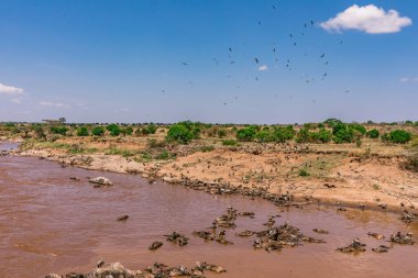 Kenya savanındaki nehir manzarası