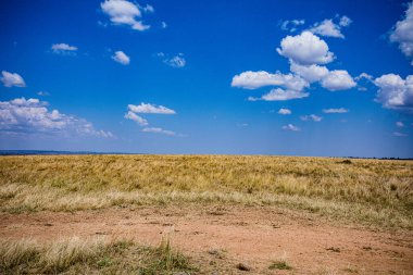 Kenya Fotoğrafçılar: Antony Trivet Fotoğrafçılık