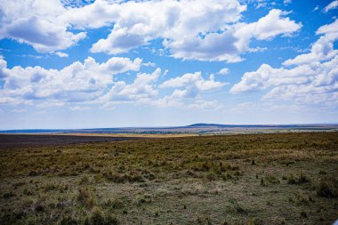 Kenya Fotoğrafçılar: Antony Trivet Fotoğrafçılık